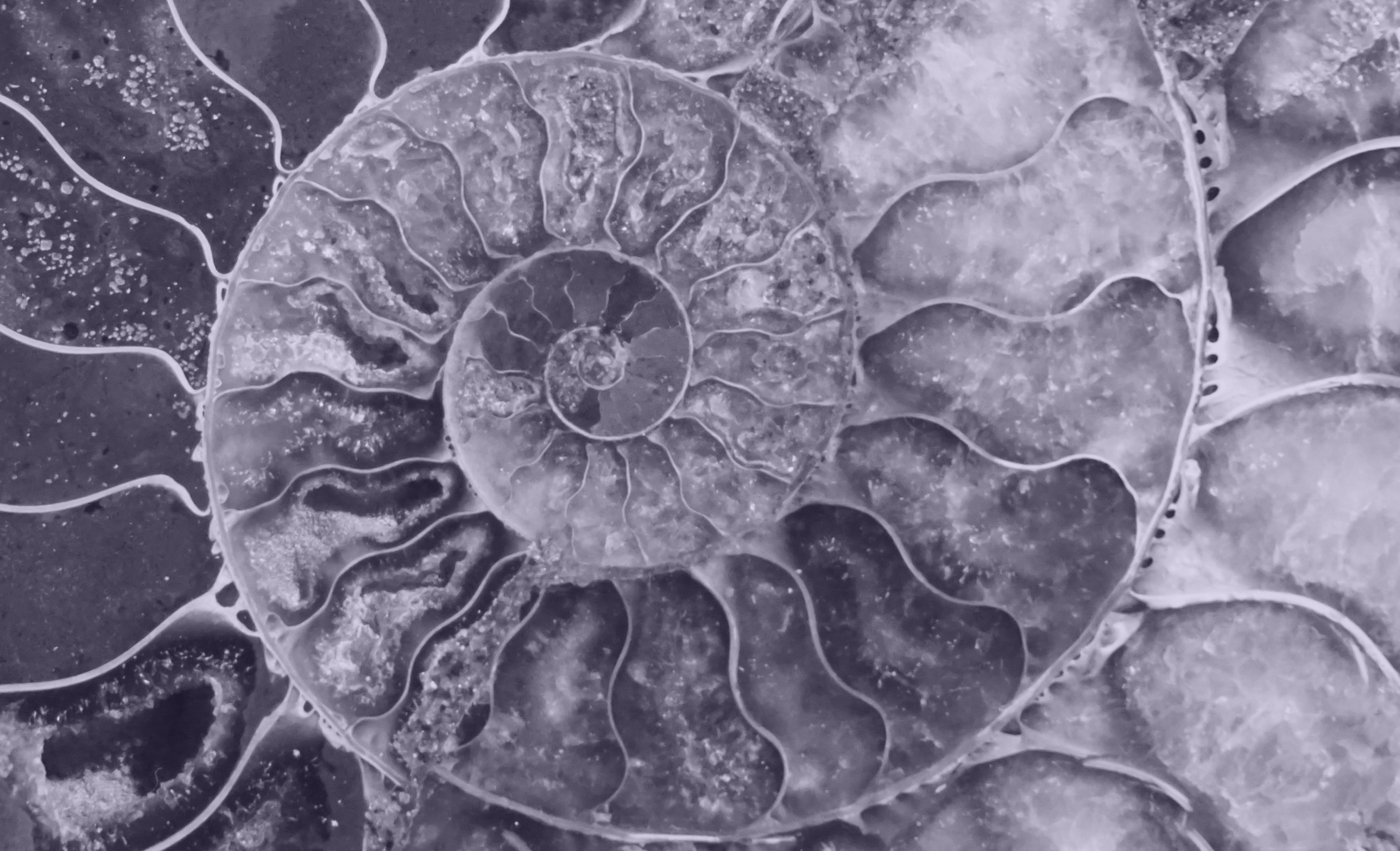 DNAの基本構造を連想させる螺旋状のビジュアル